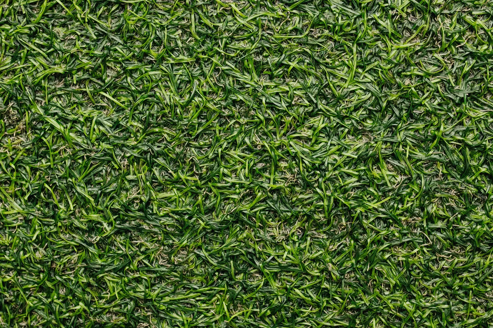 Close-up of artificial turf blades in mixed shades of green